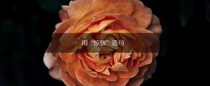 用“惊骇”造句,第1张