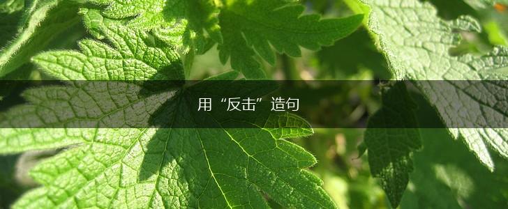 用“反击”造句,第1张