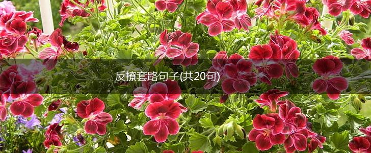 反撩套路句子(共20句),第1张