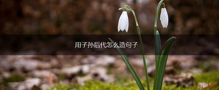 用子孙后代怎么造句子,第1张