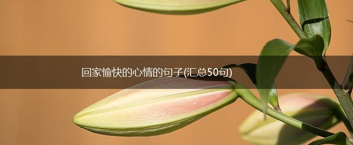 回家愉快的心情的句子(汇总50句),第1张