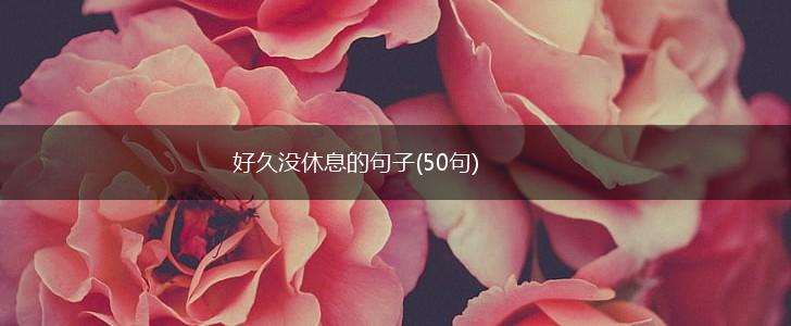 好久没休息的句子(50句),第1张
