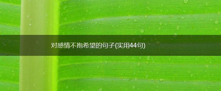 对感情不抱希望的句子(实用44句),第1张