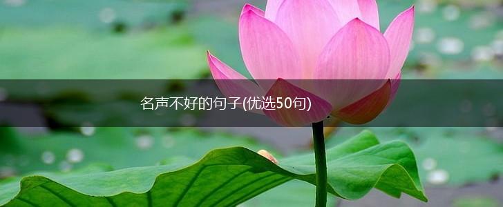 名声不好的句子(优选50句),第1张
