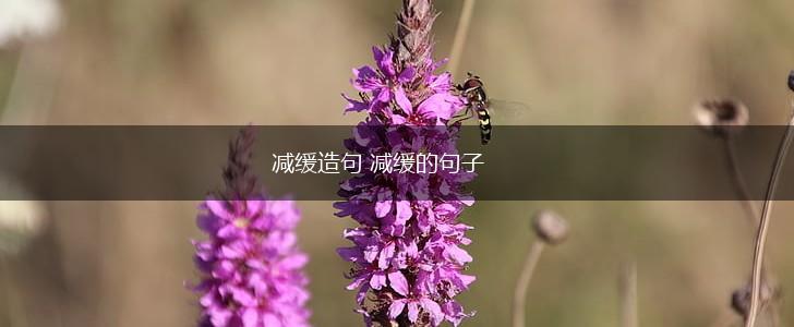 减缓造句 减缓的句子,第1张