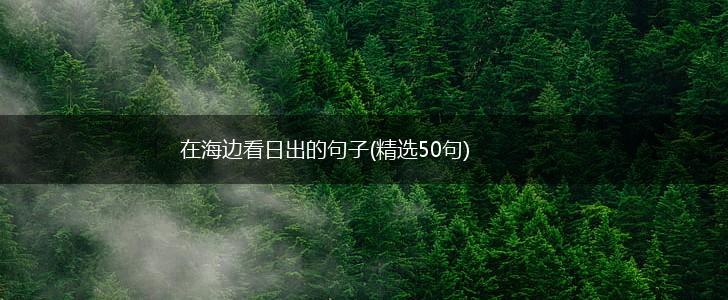 在海边看日出的句子(精选50句),第1张