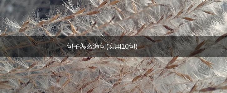 句子怎么造句(实用10句),第1张