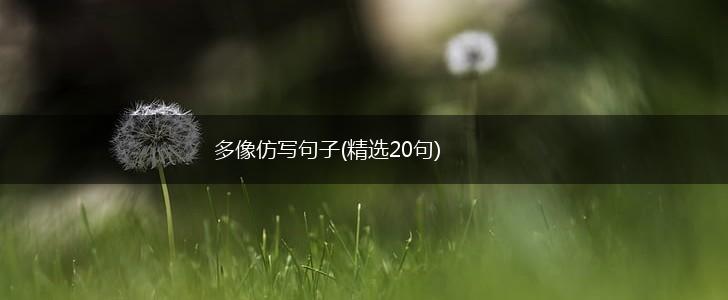 多像仿写句子(精选20句),第1张