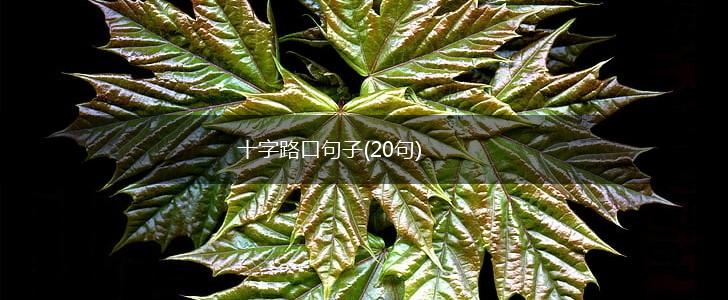十字路口句子(20句),第1张