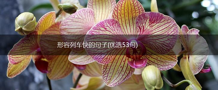 形容列车快的句子(优选53句),第1张