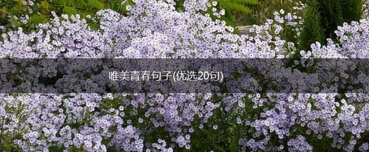 唯美青春句子(优选20句),第1张