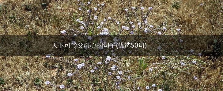 天下可怜父母心的句子(优选50句),第1张