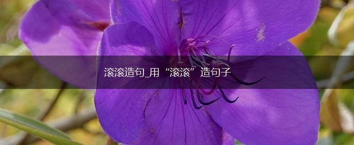 滚滚造句_用“滚滚”造句子,第1张