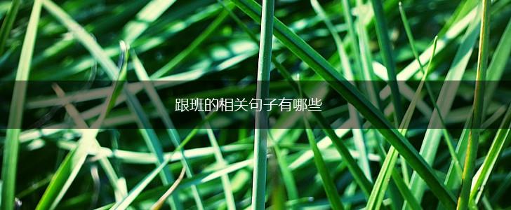 跟班的相关句子有哪些,第1张