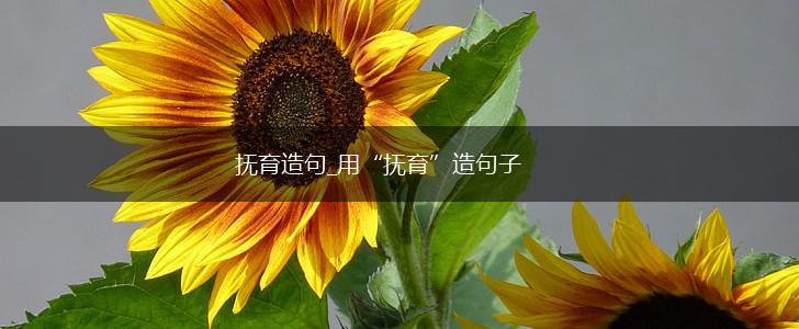 抚育造句_用“抚育”造句子,第1张