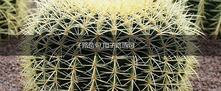 子路造句,用子路造句,第1张