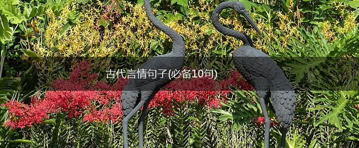古代言情句子(必备10句),第1张