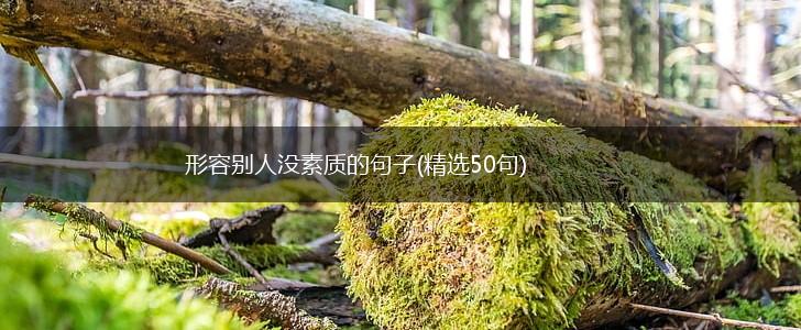 形容别人没素质的句子(精选50句),第1张