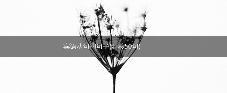 宾语从句的句子(汇总50句),第1张
