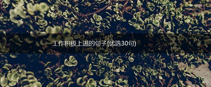 工作积极上进的句子(优选30句),第1张