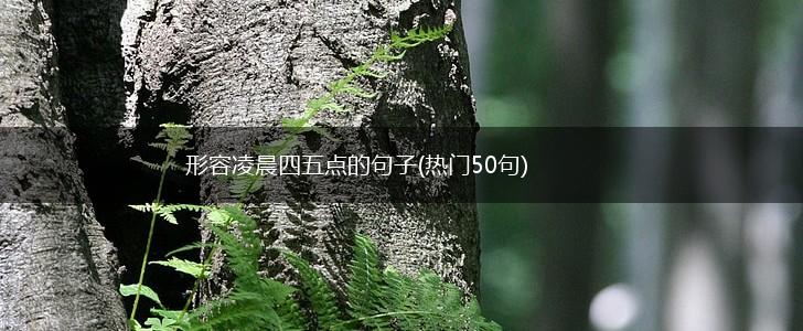 形容凌晨四五点的句子(热门50句),第1张