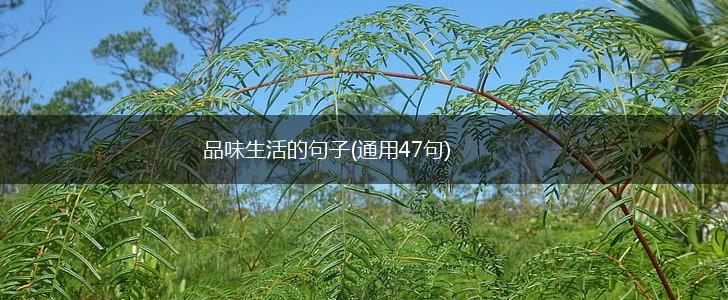 品味生活的句子(通用47句),第1张