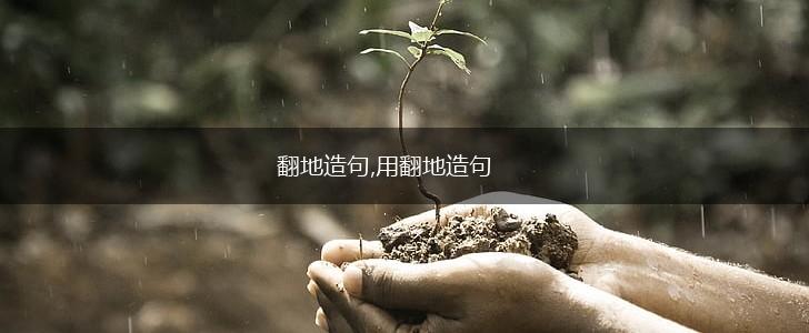 翻地造句,用翻地造句,第1张