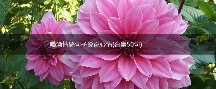 喝酒情感句子说说心情(合集50句),第1张