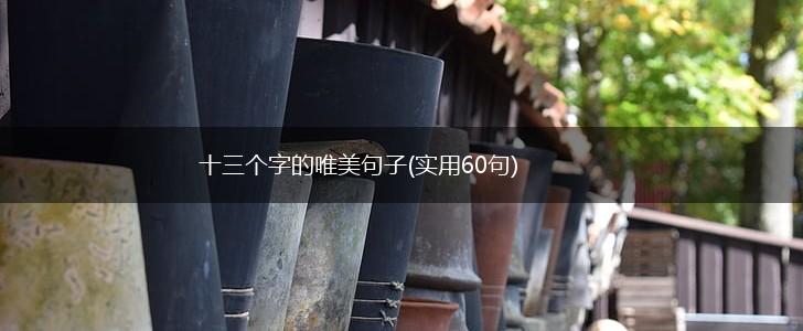 十三个字的唯美句子(实用60句),第1张