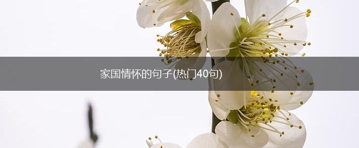 家国情怀的句子(热门40句),第1张
