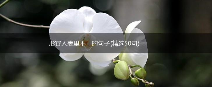形容人表里不一的句子(精选50句),第1张