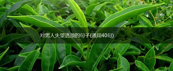 对男人失望透顶的句子(通用40句),第1张