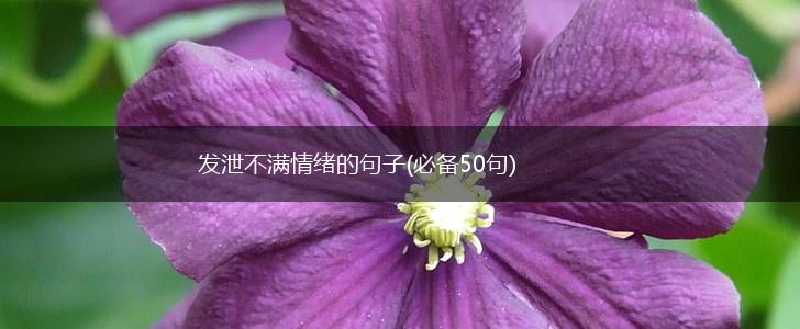 发泄不满情绪的句子(必备50句),第1张