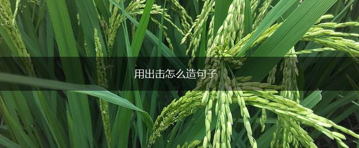 用出击怎么造句子,第1张