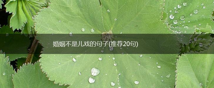 婚姻不是儿戏的句子(推荐20句),第1张