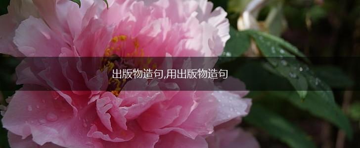 出版物造句,用出版物造句,第1张