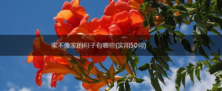 家不像家的句子有哪些(实用50句),第1张