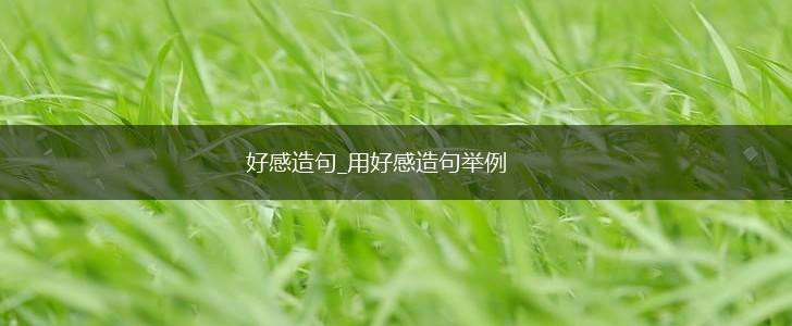 好感造句_用好感造句举例,第1张