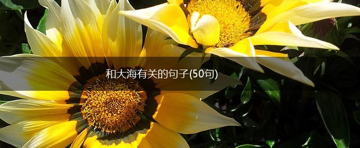 和大海有关的句子(50句),第1张