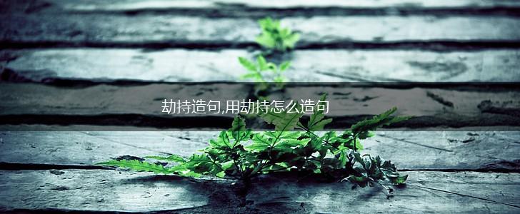 劫持造句,用劫持怎么造句,第1张