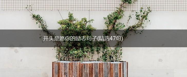 开头是愿你的励志句子(精选47句),第1张