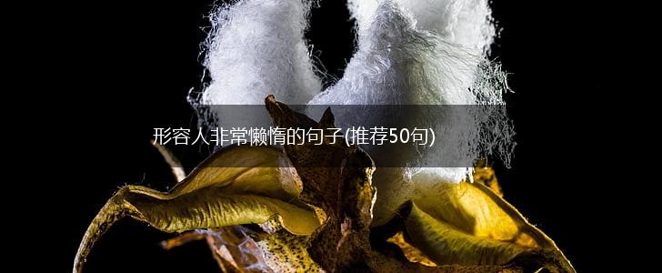 形容人非常懒惰的句子(推荐50句),第1张