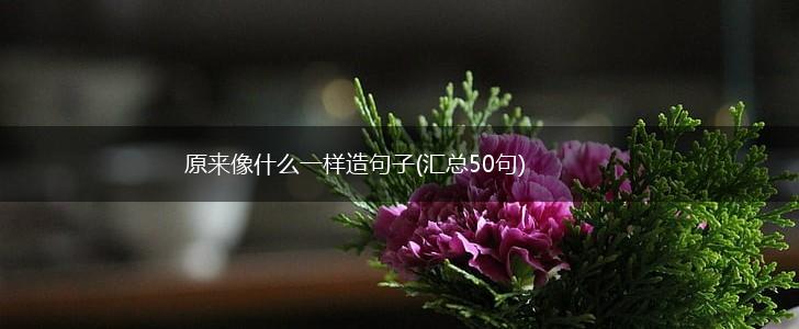 原来像什么一样造句子(汇总50句),第1张