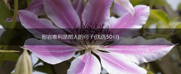 形容唯利是图人的句子(优选50句),第1张