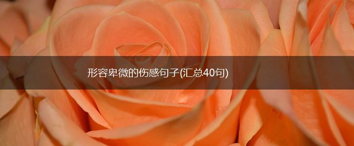 形容卑微的伤感句子(汇总40句),第1张