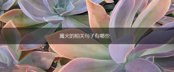 篝火的相关句子有哪些,第1张