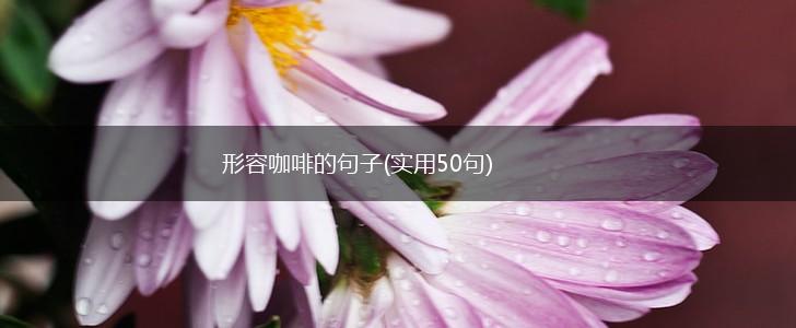 形容咖啡的句子(实用50句),第1张