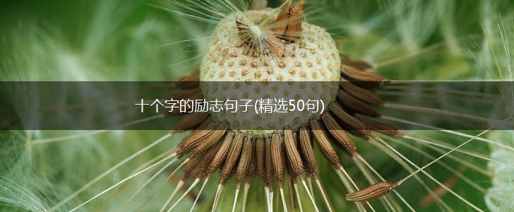 十个字的励志句子(精选50句),第1张