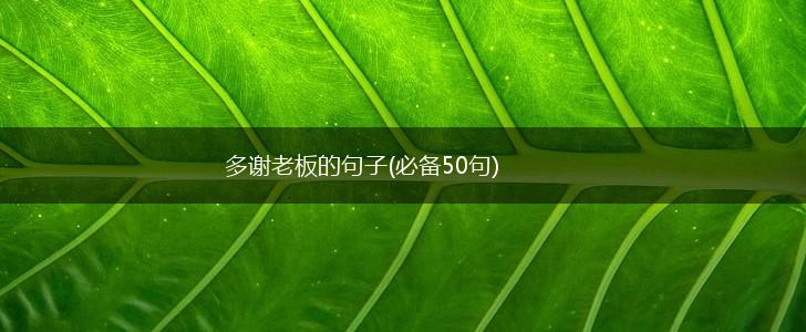 多谢老板的句子(必备50句),第1张