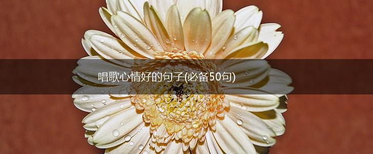 唱歌心情好的句子(必备50句),第1张